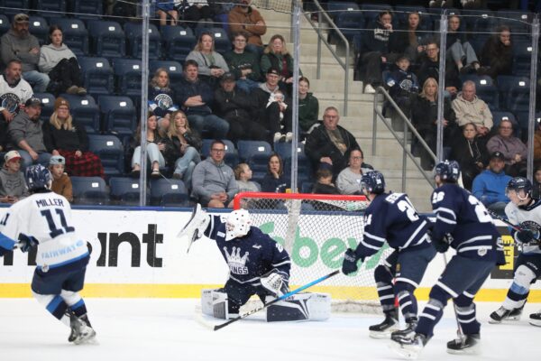 Former Piston Green Scores Game-Winner as Kings Edge Steinbach 3-2